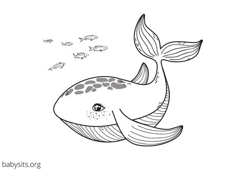 Underwater Sea Creatures Coloring Pages