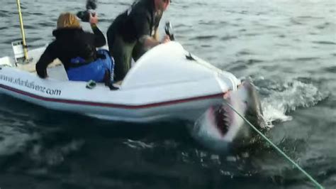 VIDEO: Great white shark attacks film crew members - ABC11 Raleigh-Durham