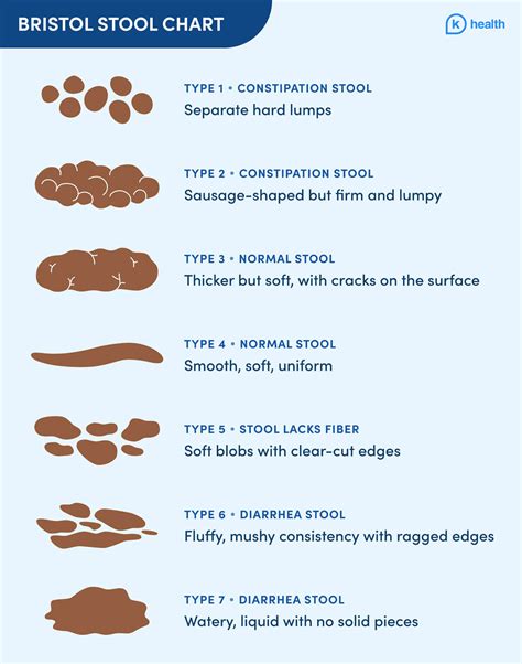 Bristol Stool Chart Type 6 Toddler | Kids Matttroy