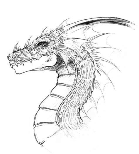 Realistic Dragons Drawing at GetDrawings | Free download