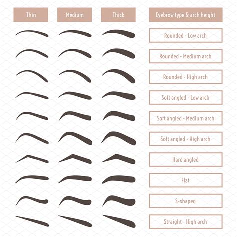 Eyebrow shapes. Various brow types. | アートメイク 眉毛, 眉毛, ビューティープロダクト