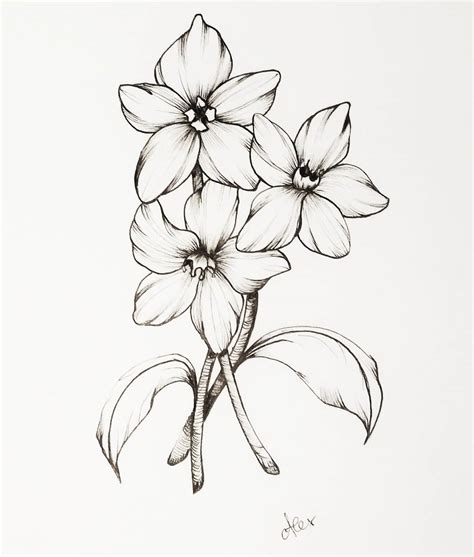 Flower Ink Drawing at GetDrawings | Free download