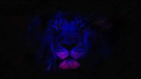 Space Lion Wallpaper For Chromebook | Chromebook Wallpapers