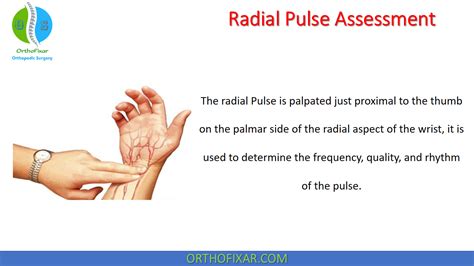 Radial Pulse Examination - Easy Explained | OrthoFixar 2024