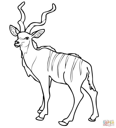 African Woodland Antelope Kudu coloring page | Free Printable Coloring Pages