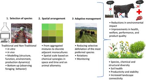 Frontiers | Designing Diverse Agricultural Pastures for Improving Ruminant Production Systems