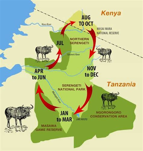 Map of Masai Mara National Reserve | Masai Mara Safari