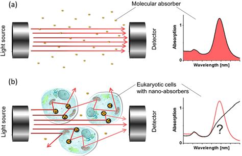 Principle of UV-VIS spectrophotometry. (a) Detected UV-VIS spectrum for ...