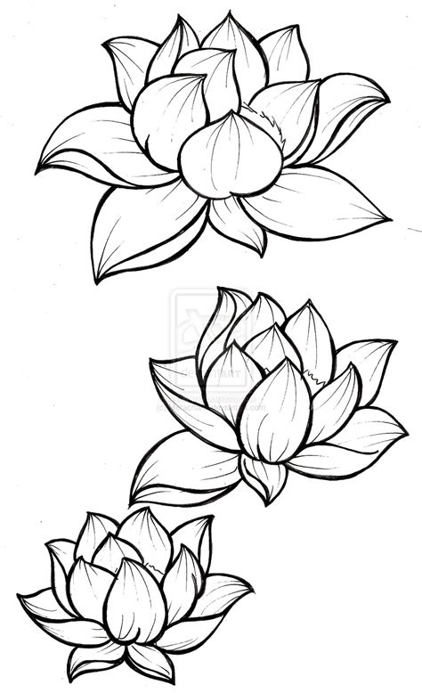 Blue Lotus Flower Drawing at GetDrawings | Free download