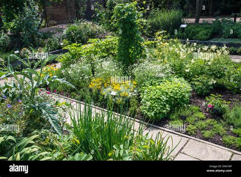 Medicinal plants in Queen's Garden, Kew Palace, Kew Royal Botanic Gardens, London, UK Stock ...