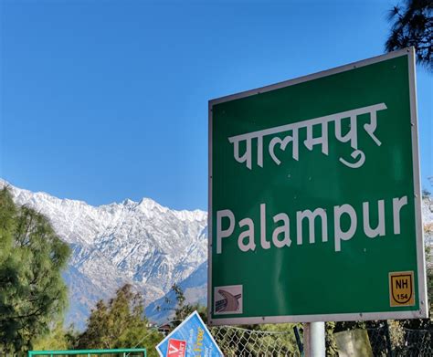 Discovering Palampur's Top 10 Must-Visit Places