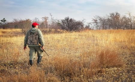 9 Expert Whitetail Deer Hunting Tips