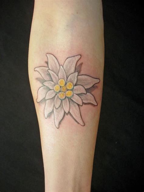 edelweiss tattoo | Edelweiss tattoo, Picture tattoos, Flower tattoo