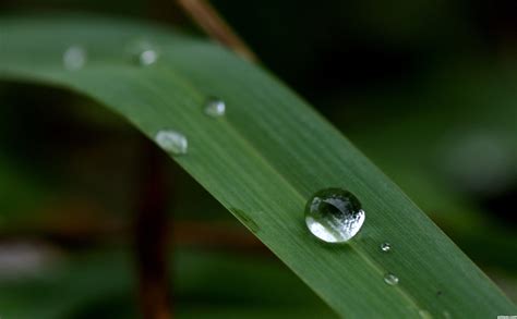 Simplicity Photography | Simplicity picture for: water droplets photography contest ...