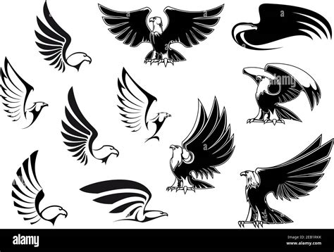 Eagle silhouettes showing flying and standing birds with outstretched wings in outline sketch ...