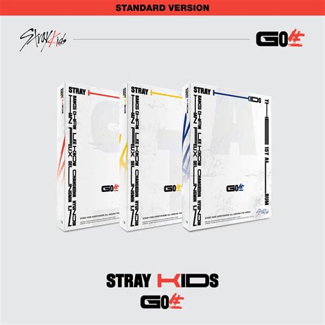 STRAY KIDS 1ST ALBUM - GO生 (STANDARD VERSION) – SubK Shop