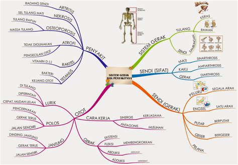 Mind Mapping Sistem Gerak Manusia - Homecare24