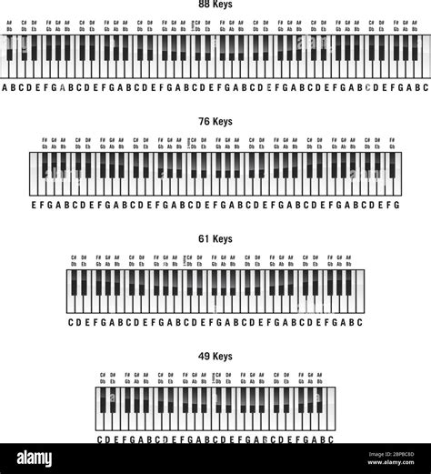 Piano keyboards in standard 88 key, 76 key, 61 key and 49 key layouts ...