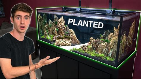 My *NEW* DREAM AQUARIUM BUILD!! - (Freshwater) - YouTube