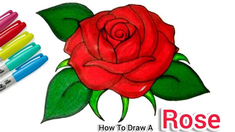 Rose Flower Drawing Colour | Best Flower Site