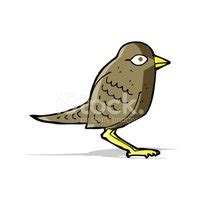 Cartoon Garden Bird Stock Clipart | Royalty-Free | FreeImages