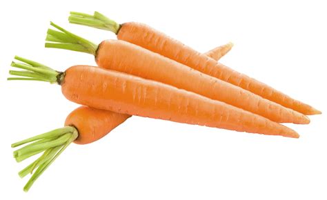 Carrot HD PNG Transparent Carrot HD.PNG Images. | PlusPNG