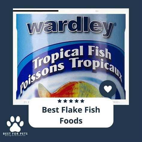 10 Best Flake Fish Foods - Reviews & Top Picks - BestForPets.org