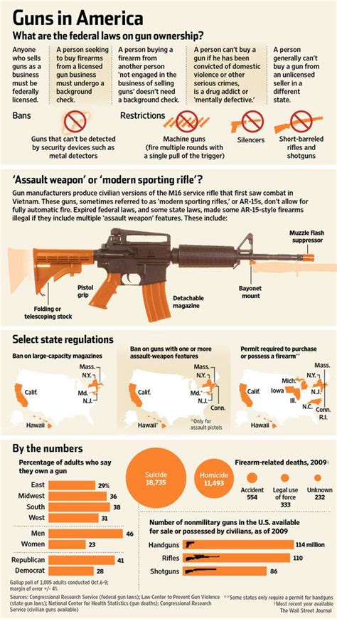 Guns in America: The federal laws on gun ownership