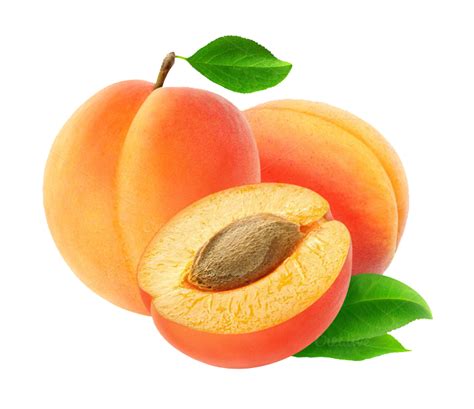 clipart apricot 20 free Cliparts | Download images on Clipground 2024