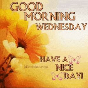 Good Morning Wednesday