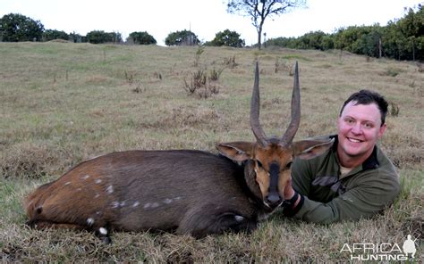 Bushbuck ram | AfricaHunting.com