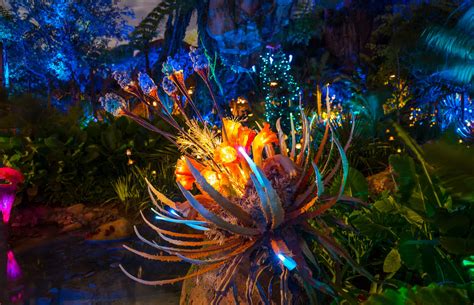 Pandora: The World of Avatar at night at Disney World’s Animal Kingdom ...