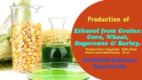 Production of Ethanol from Grains: Corn, Wheat, Sugarcane & Barley | Profitable Business Opportunity