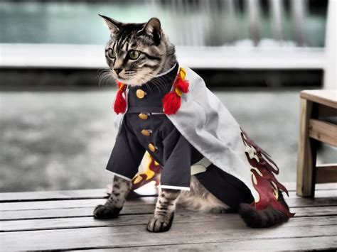 On His Free Time, This Guy Makes Anime Costumes For His Cats And Here ...