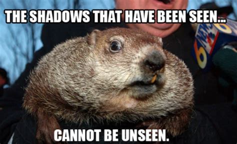 Phil The Groundhog Memes / Punxsutawney phil is the only true weather ...