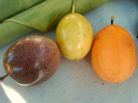 Polynesian_Produce_Stand