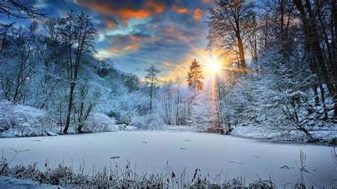 Sunbeams Landscape Snow In Winter Trees 4K HD Nature Wallpapers | HD Wallpapers | ID #40806