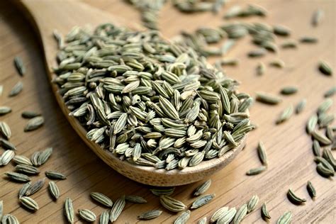 Fennel Seed - Anthony The Spice Maker