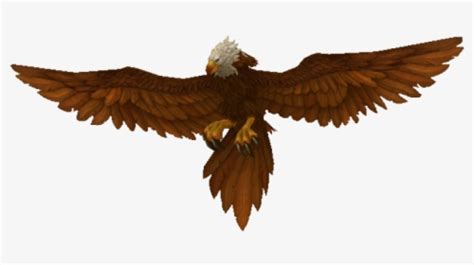 Eagle - Giant - 05 - Dnd 5e Giant Eagle, HD Png Download - kindpng