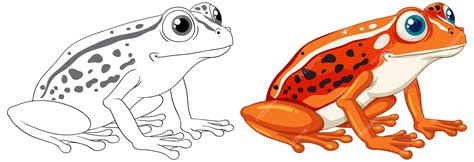 Premium Vector | Orange frog cartoon