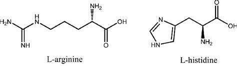 Scheme 1. Molecular structure of L-arginine and L-histidine. | Download Scientific Diagram