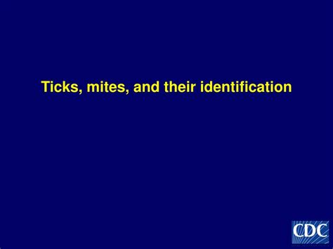 PPT - Biology of Ticks and Mites PowerPoint Presentation, free download ...