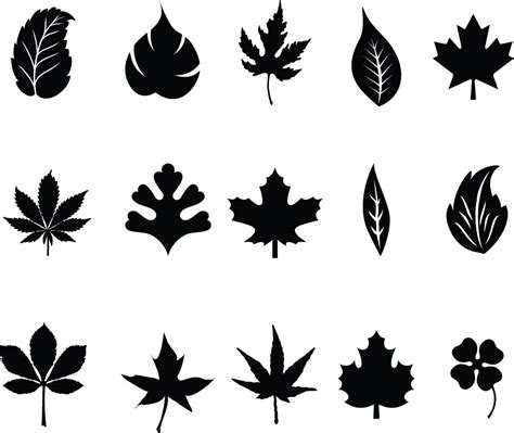 Foliage silhouette clipart - Clipground