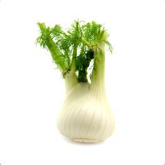 Vege - Fennel