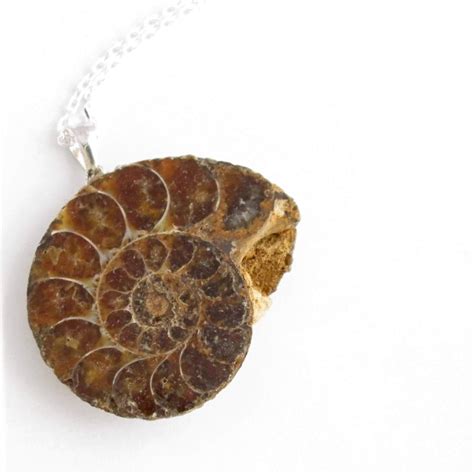 Fossil Ammonite Jewelry, Sterling Silver Necklace — CindyLouWho2