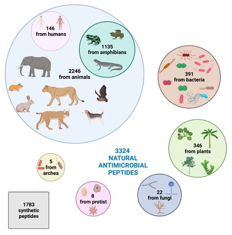 Bioactive Antimicrobial Peptides | Encyclopedia MDPI