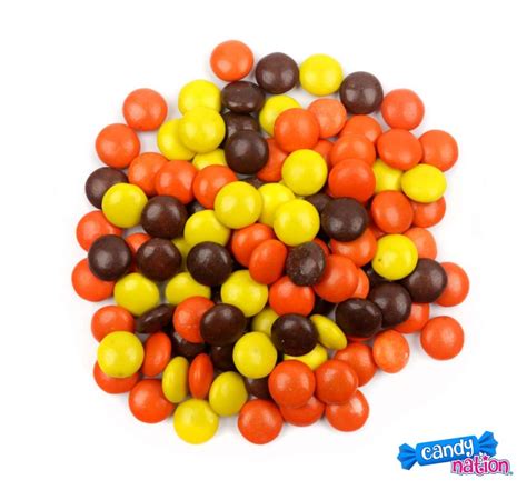 Reese's Pieces in Bulk Online at Candy Nation