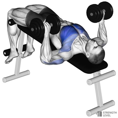 Decline Dumbbell Bench Press Standards for Men and Women (lb) - Strength Level