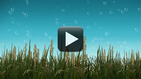 Free Nature BackGround Video With Cool Bubbles Animation | All Design Creative