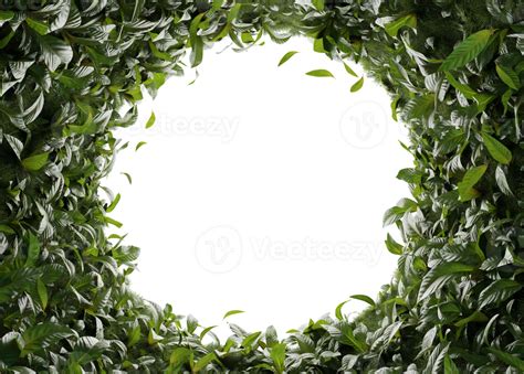 Tropical plants in vertical garden form on a transparent background ...